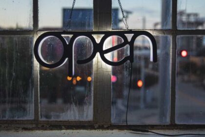 What are ‘open’ AI models?