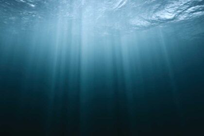 Meta floats project to lay first petabit submarine fiberoptic cable