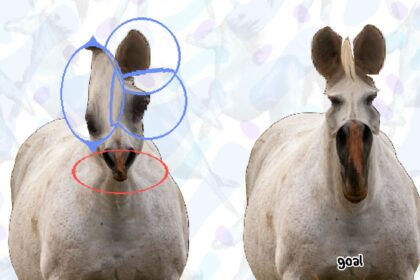 This week’s most compelling new Steam game is Horse Magnifier, which is about magnifying horses