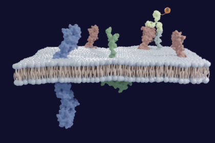 InduPro raises $77M, begins first human trial of cancer drug – GeekWire