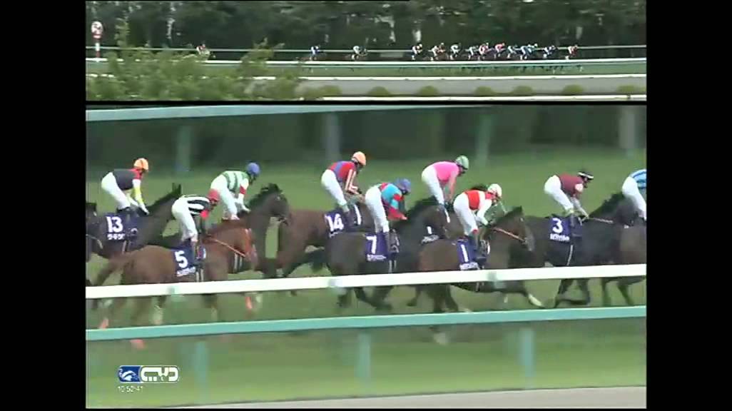 2015.06.28 Takarazuka Kinen (JPN) - Lovely Day - YouTube