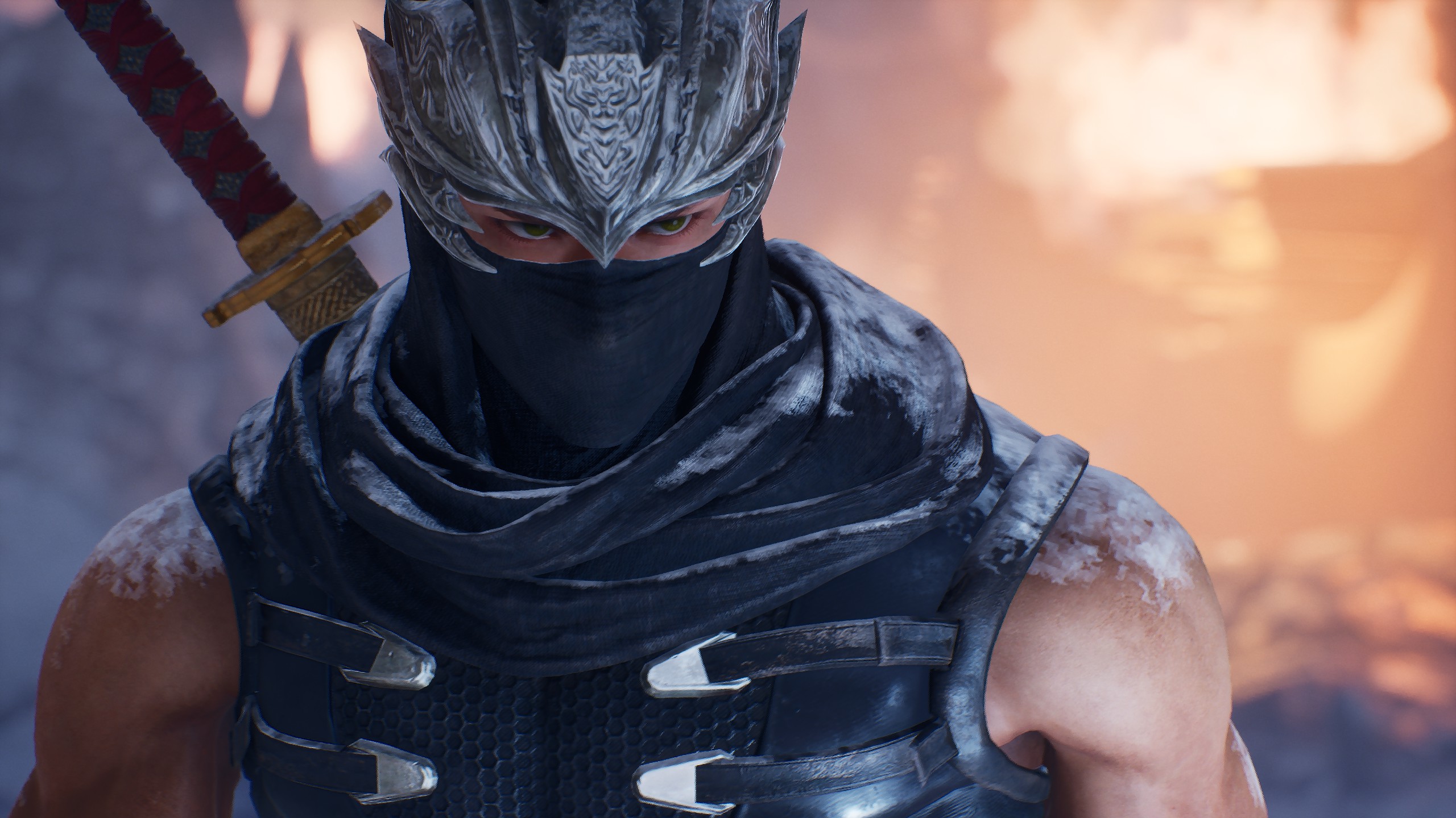 Ninja Gaiden 2 Black