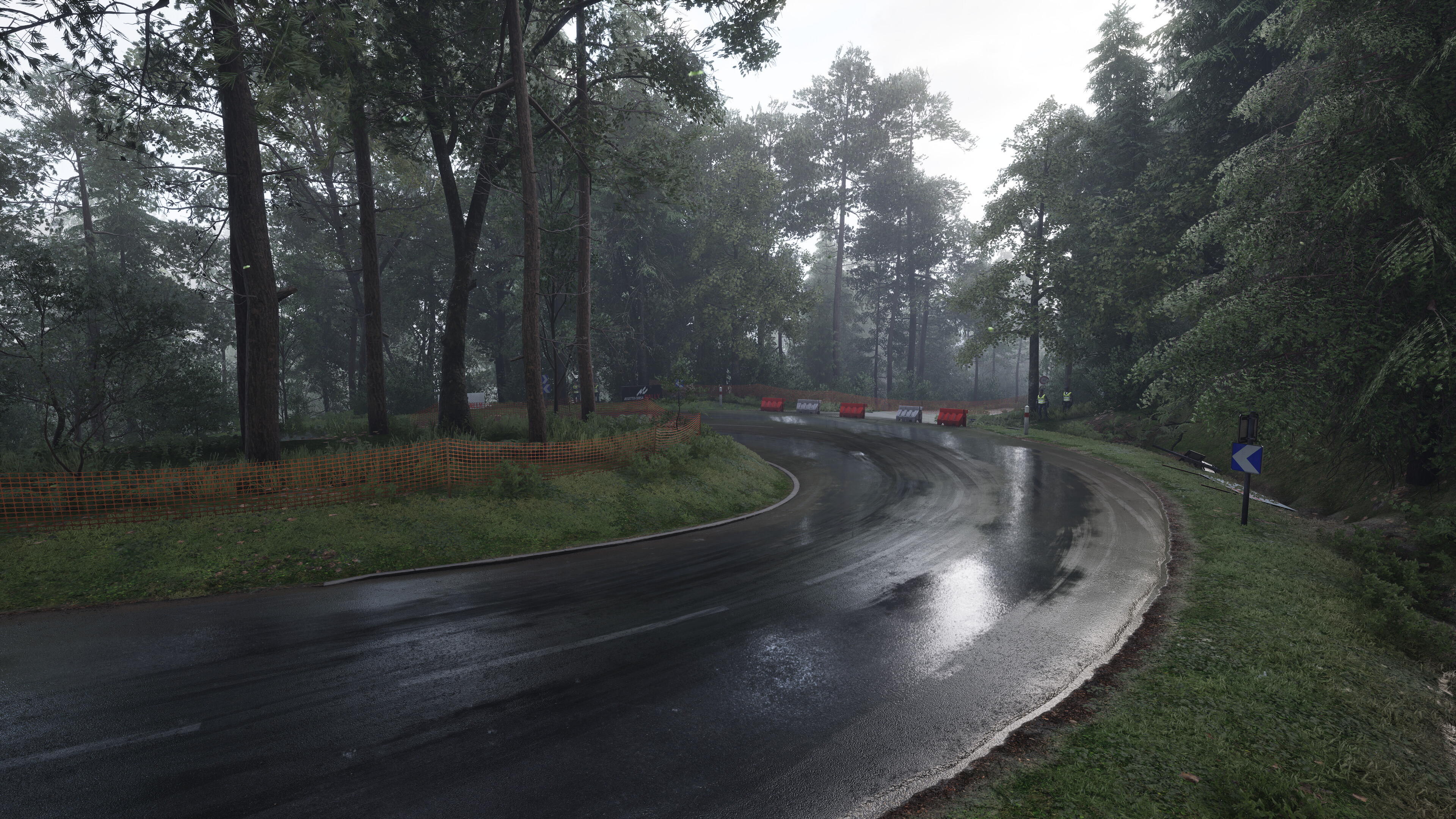 A rain-slick road in Assetto Corsa Rally.