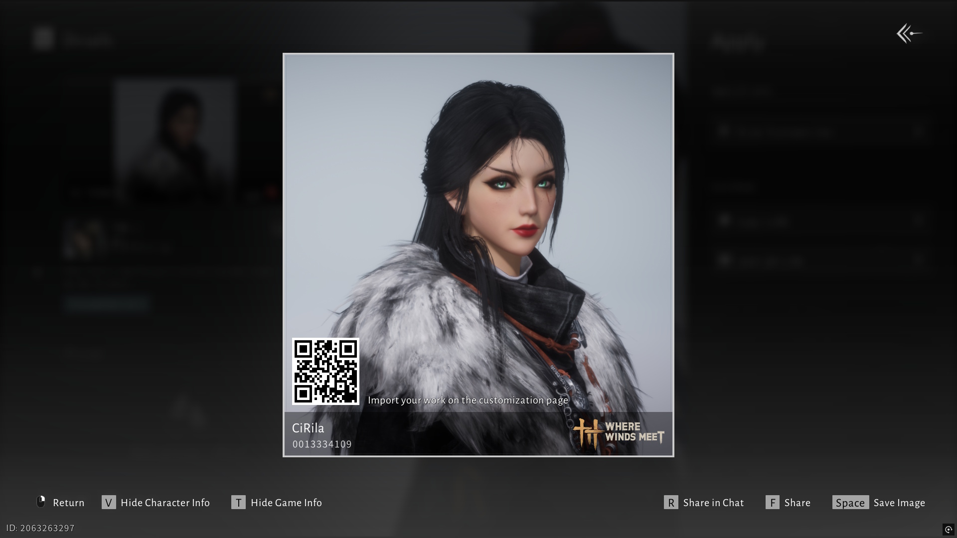 Where Winds Meet character customization codes