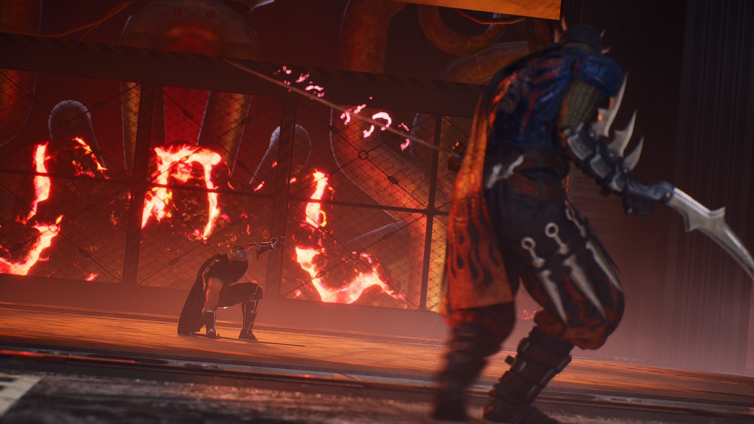 Ninja Gaiden 2 Black