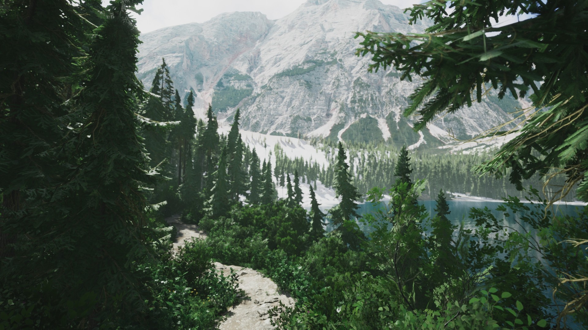 A green alpine forest in Lushfoil Photography Sim.