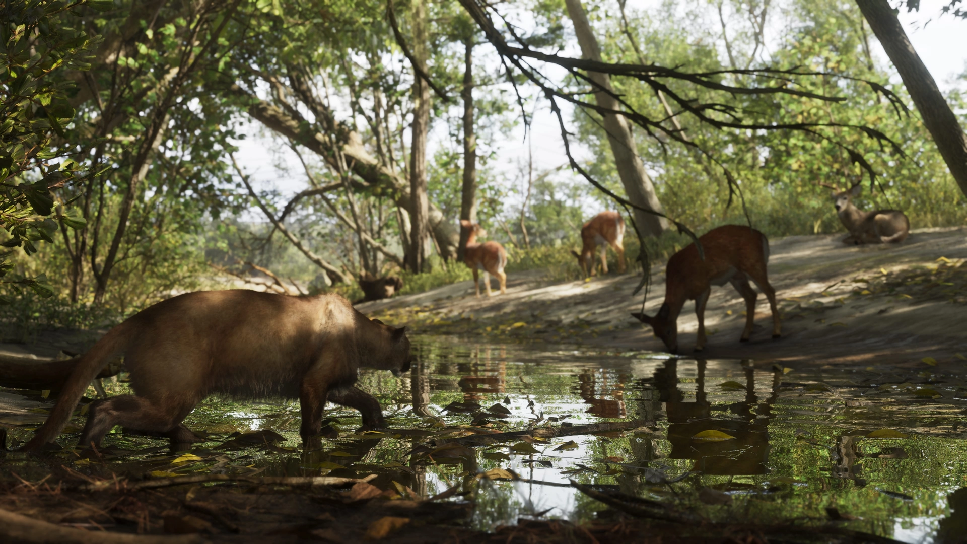 A Florida panther stalks deer in Mount Kalaga national park in GTA 6.