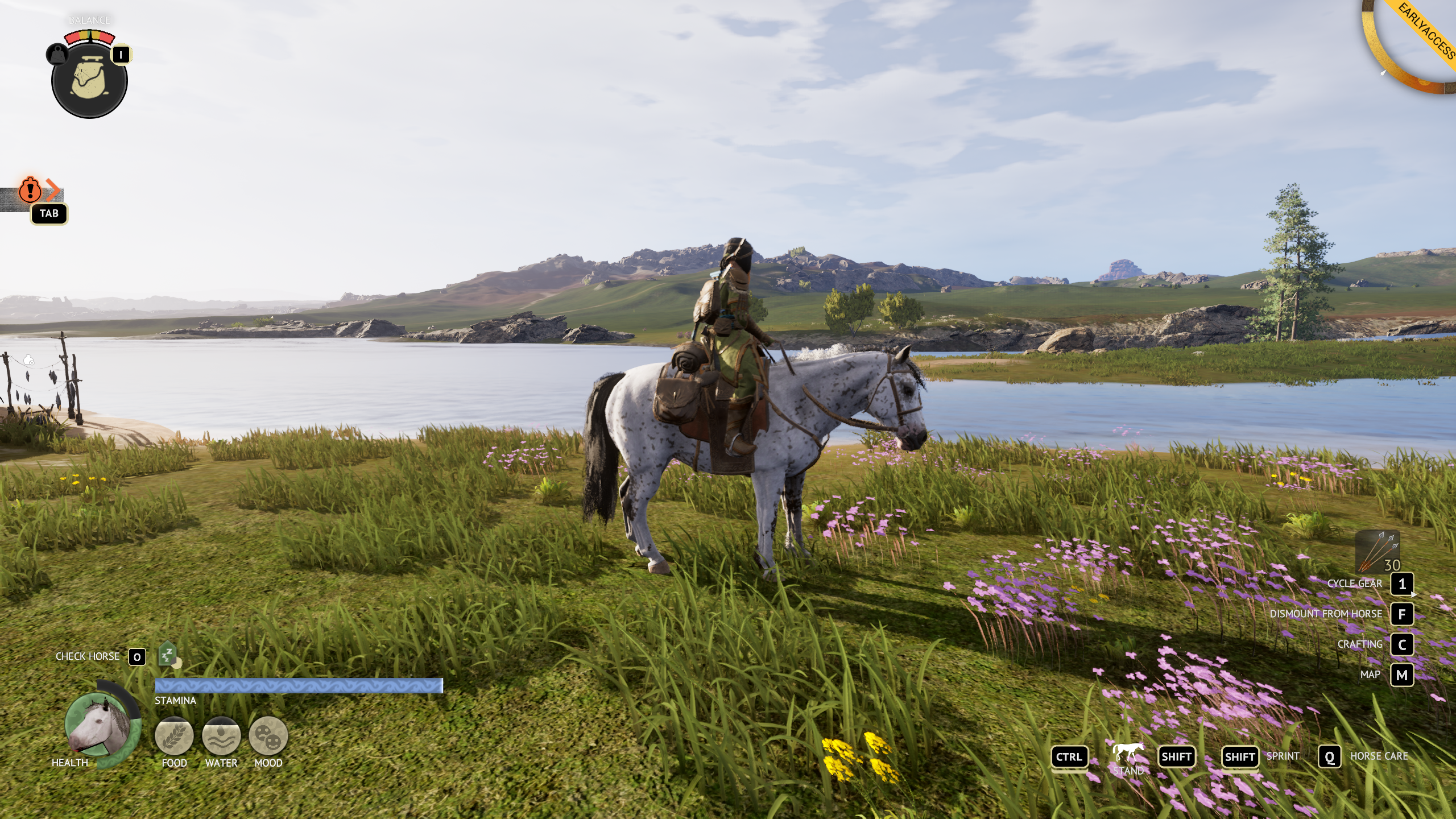 The Legend of Khiimori graphics settings - low