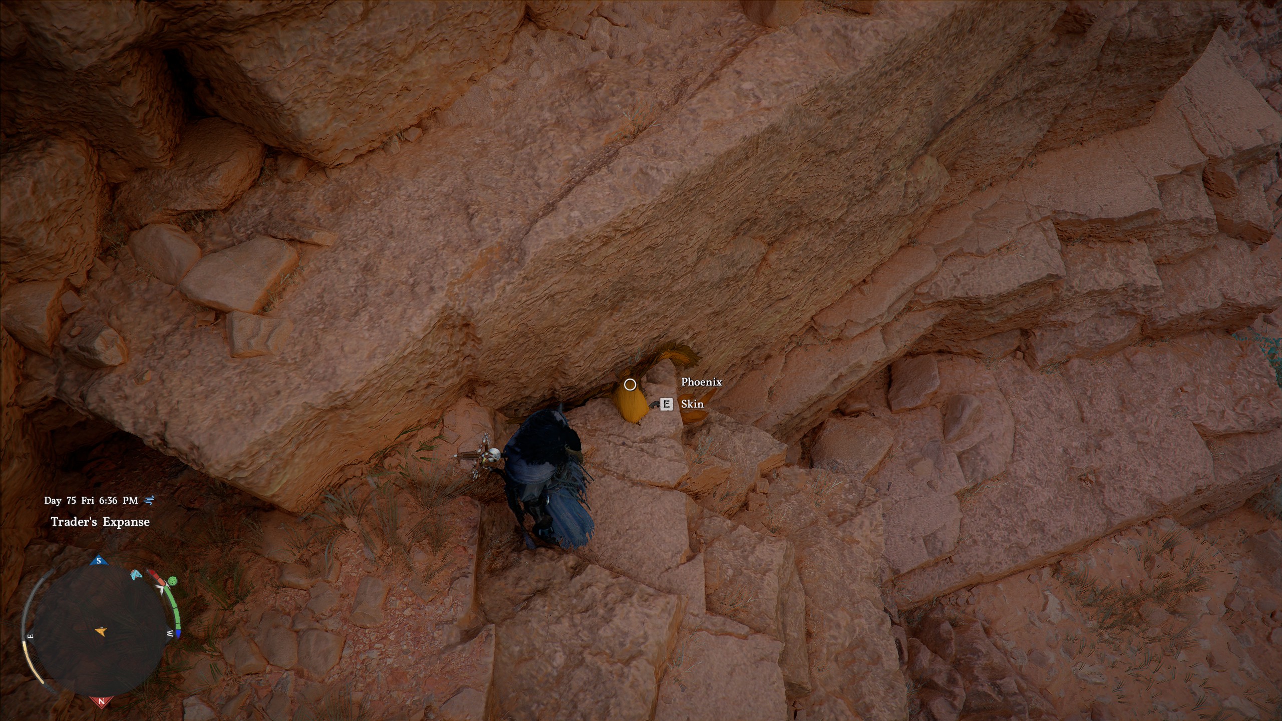 Crimson Desert Phoenix corpse