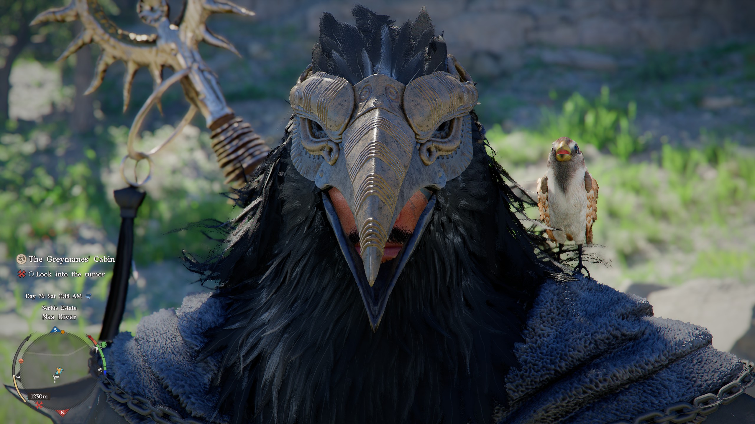 Crimson Desert Sotdae of Bond - Sparrow on shoulder