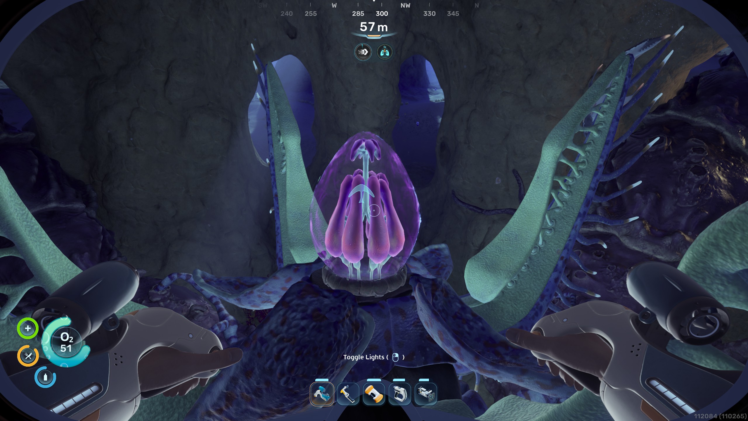 Subnautica 2 Angel Comb open