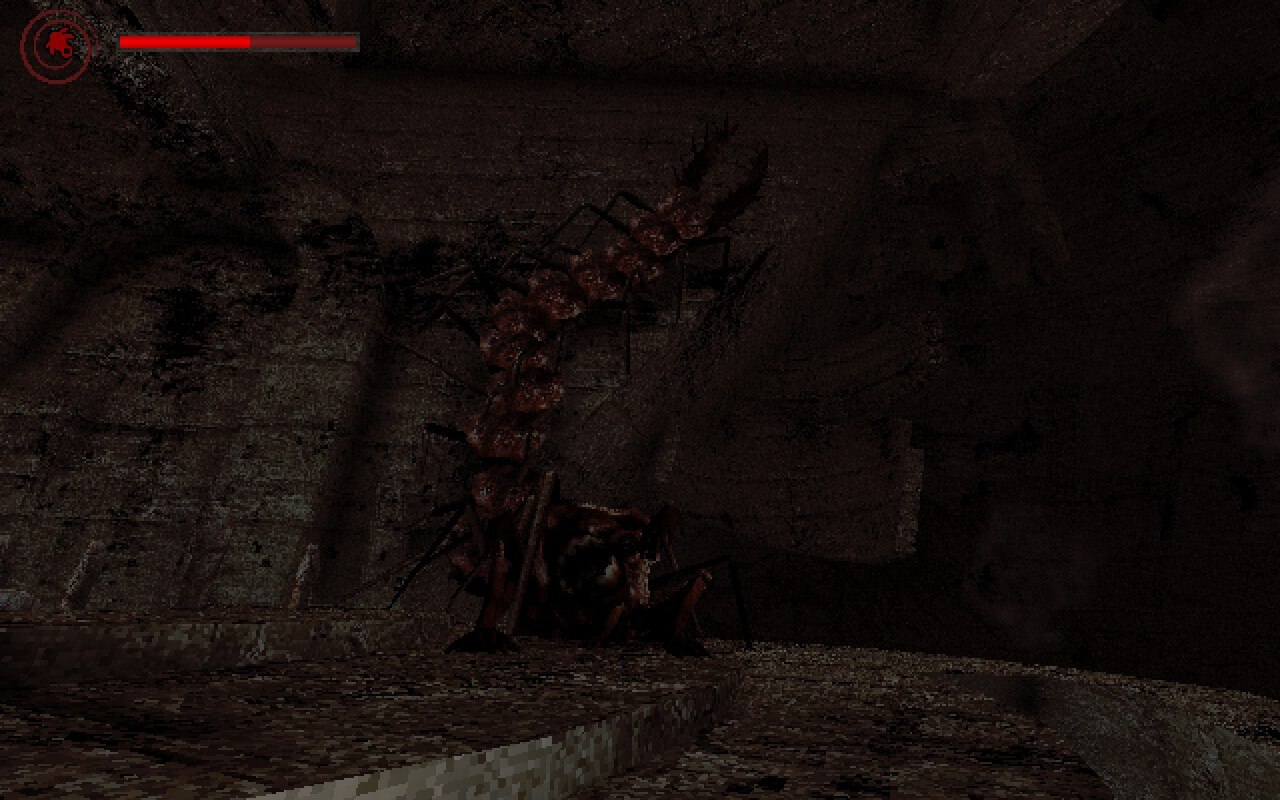 A giant centipede on a wall in a dark area