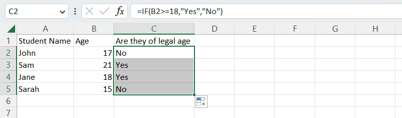 screenshot of excel spreadsheet with column selected for autofill operation