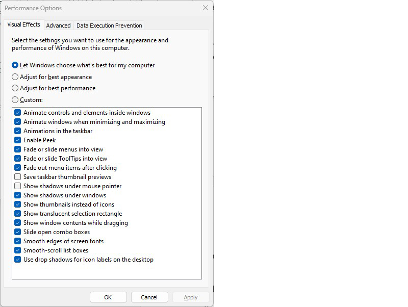 performance options dialog box listing animations and other options to turn off for faster performance