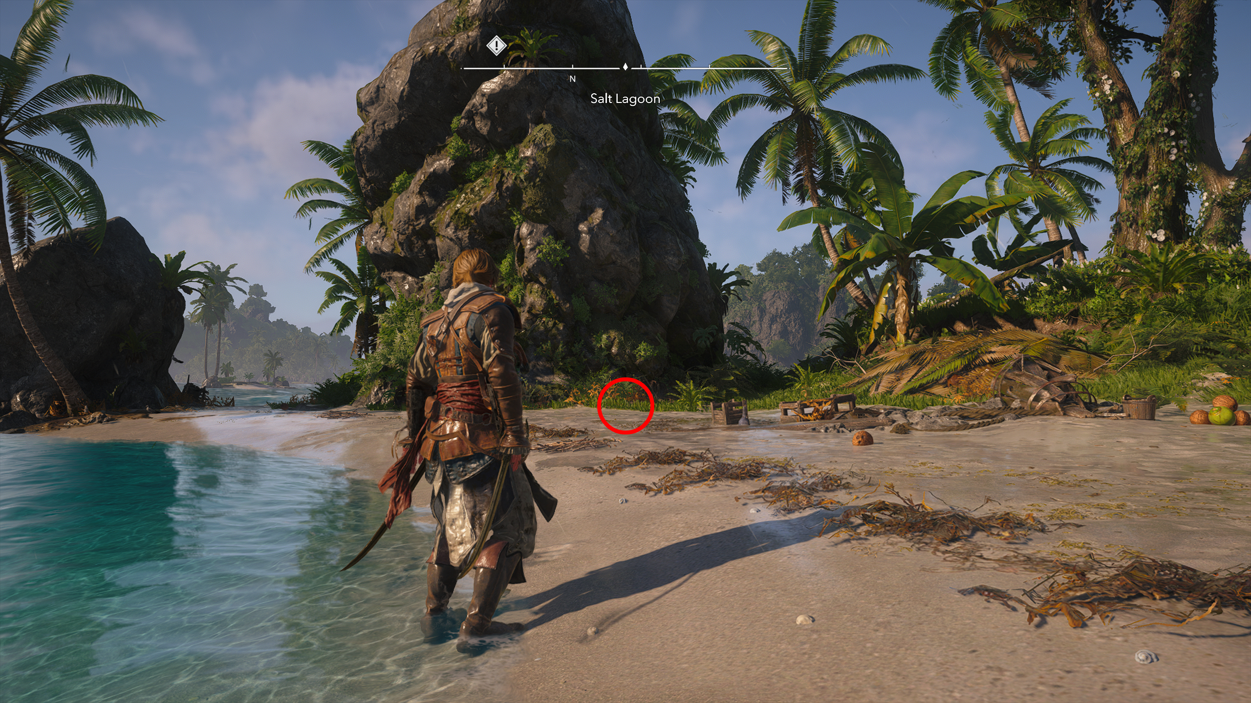 Black Flag treasure maps: Edward standing on a beach with a ship wreck to his left.
