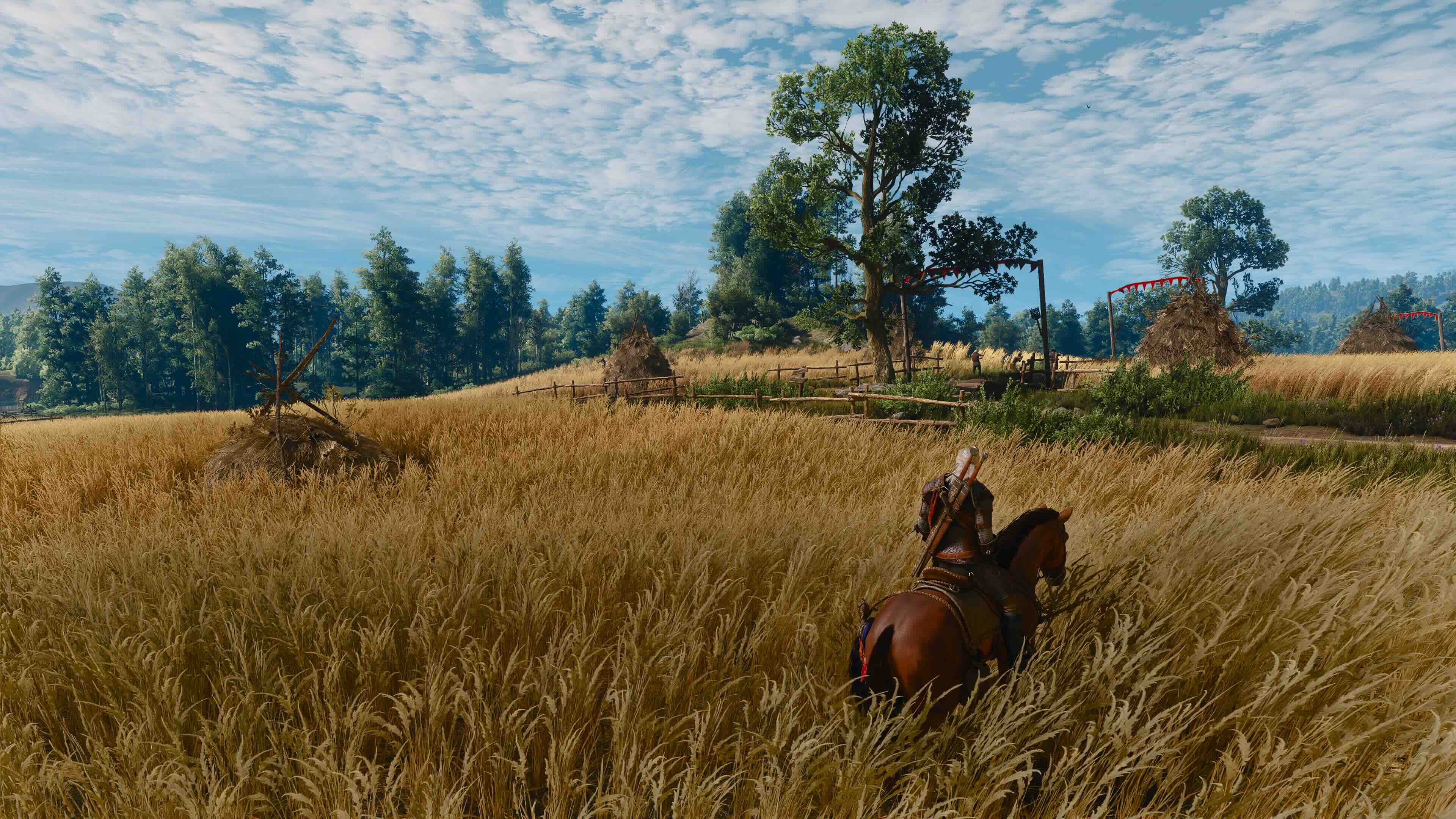 Witcher 3 &ndash; Songs of the Past