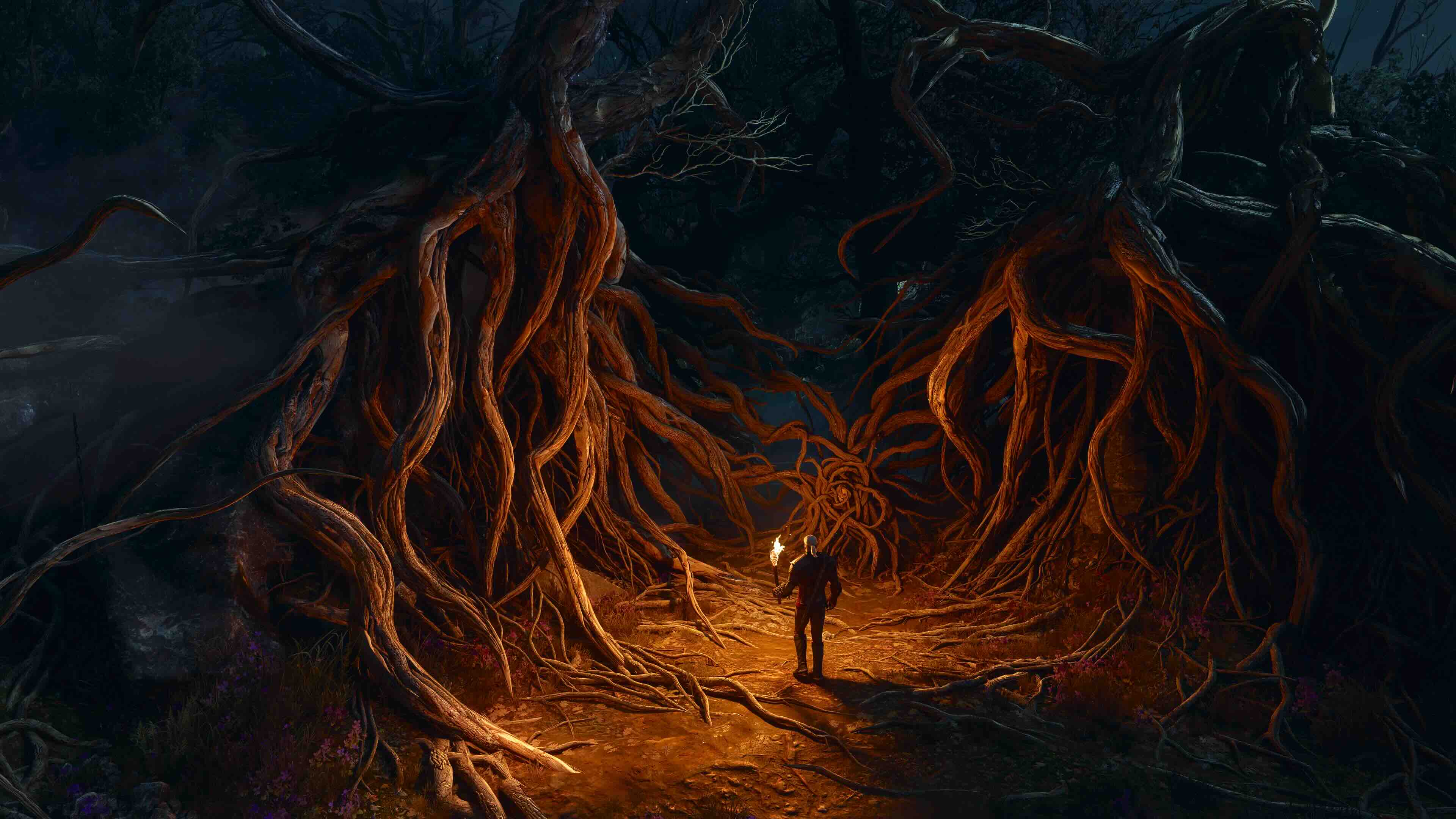 Witcher 3 &ndash; Songs of the Past