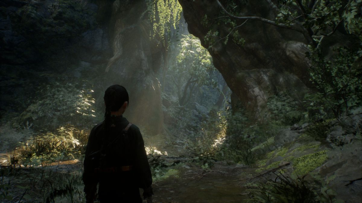 A woman stands in front of a lush green expanse