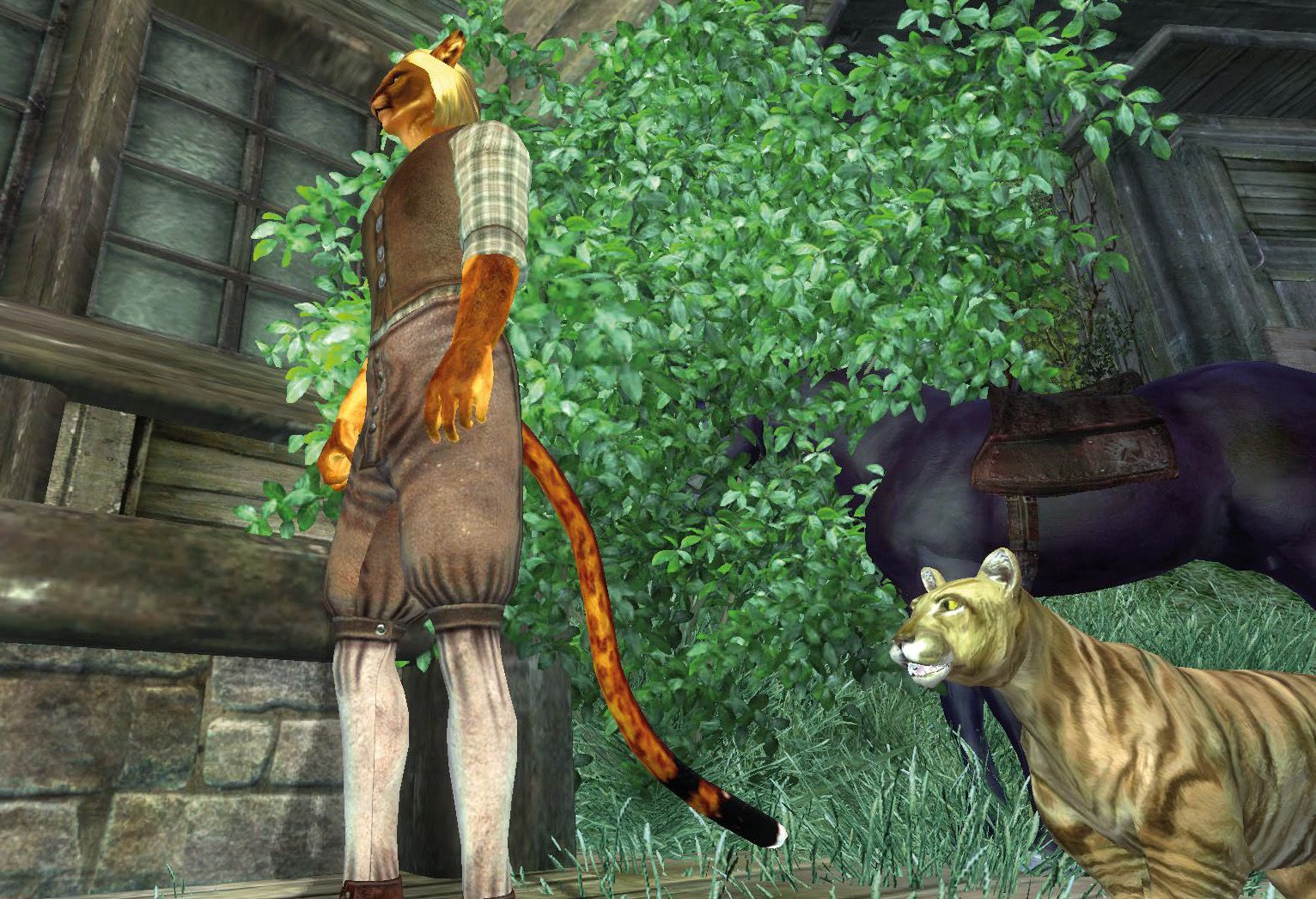Oblivion Elswyr mod The Deserts of Anequina