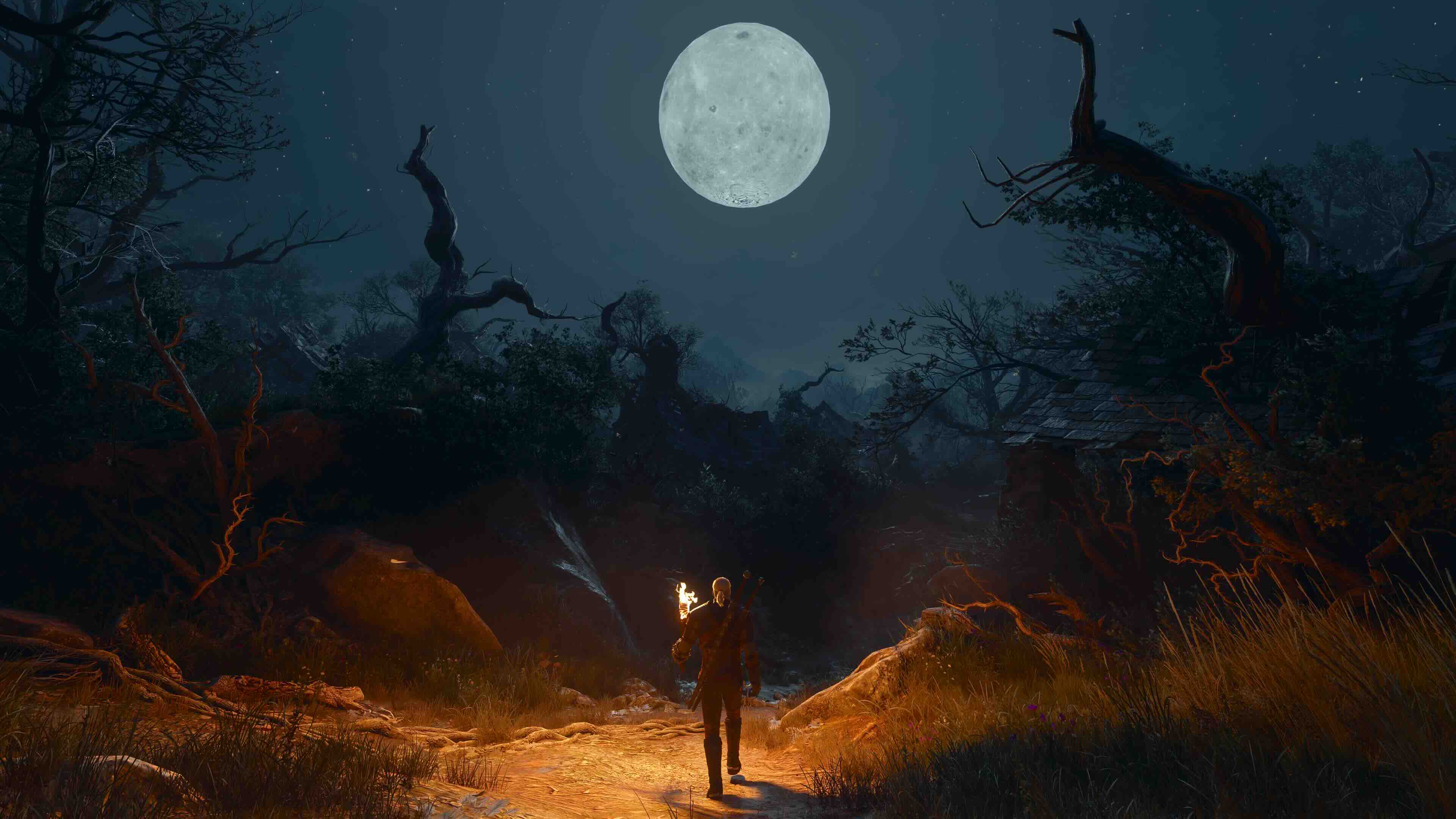 Witcher 3 &ndash; Songs of the Past