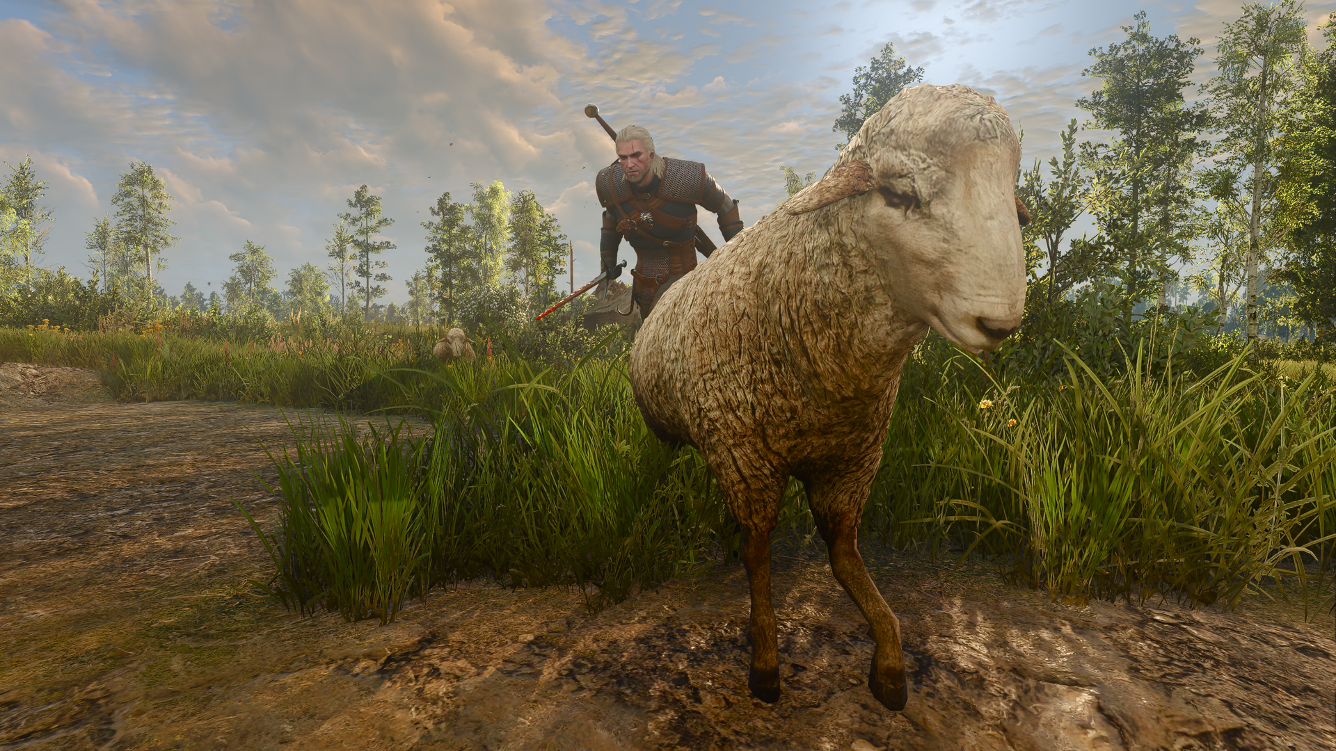 Geralt pursues a sheep.